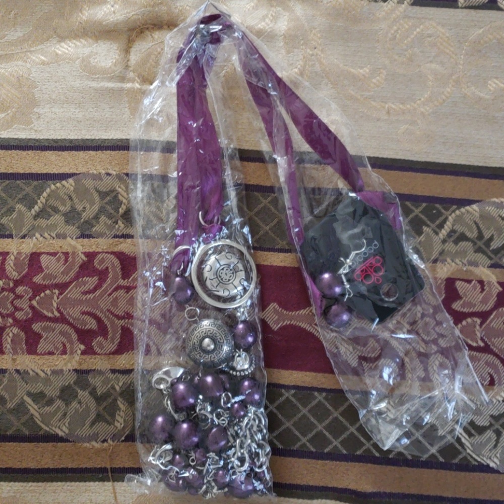 Paparazzi Purple Necklace
